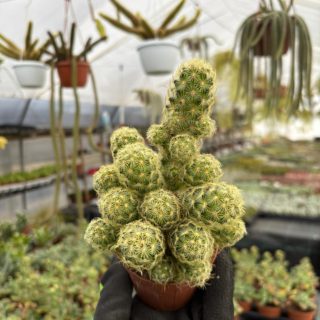 WhatsApp Image 2026-01-23 at 18.30.17