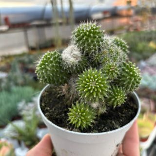 WhatsApp Image 2025-11-28 at 21.51.48 (1)