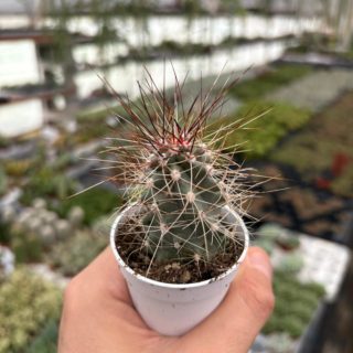 WhatsApp Image 2025-12-01 at 14.16.30 (1)