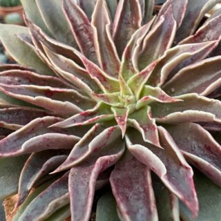 WhatsApp Image 2026-01-28 at 17.07.22