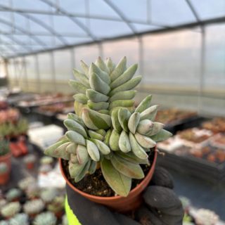 WhatsApp Image 2026-01-28 at 17.07.24 (3)