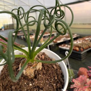 WhatsApp Image 2026-02-01 at 23.49.02 (1)