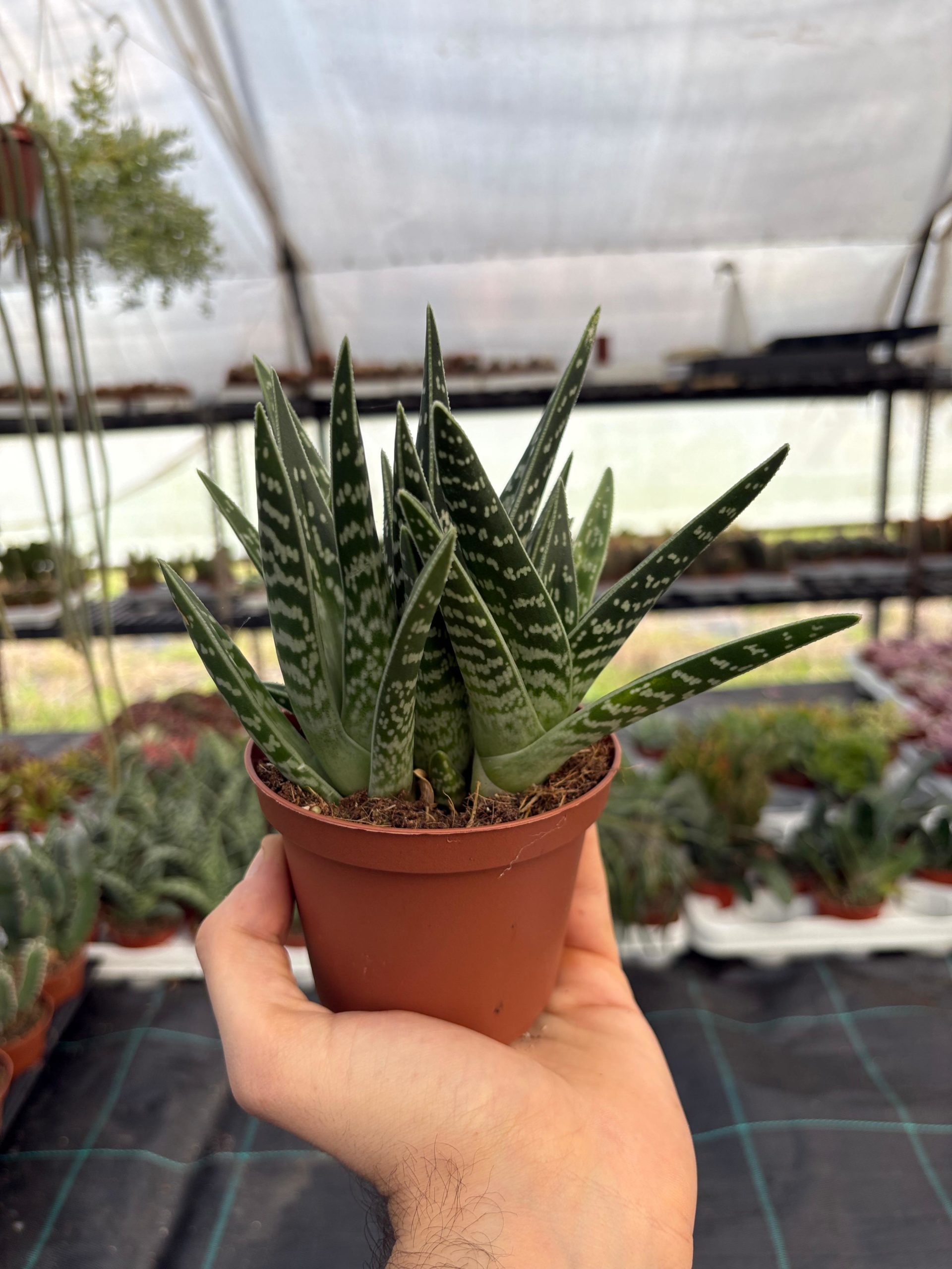 WhatsApp Image 2026-02-22 at 10.45.12