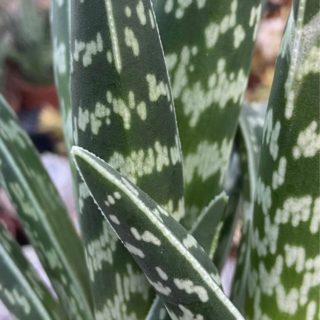 WhatsApp Image 2026-02-22 at 10.53.35