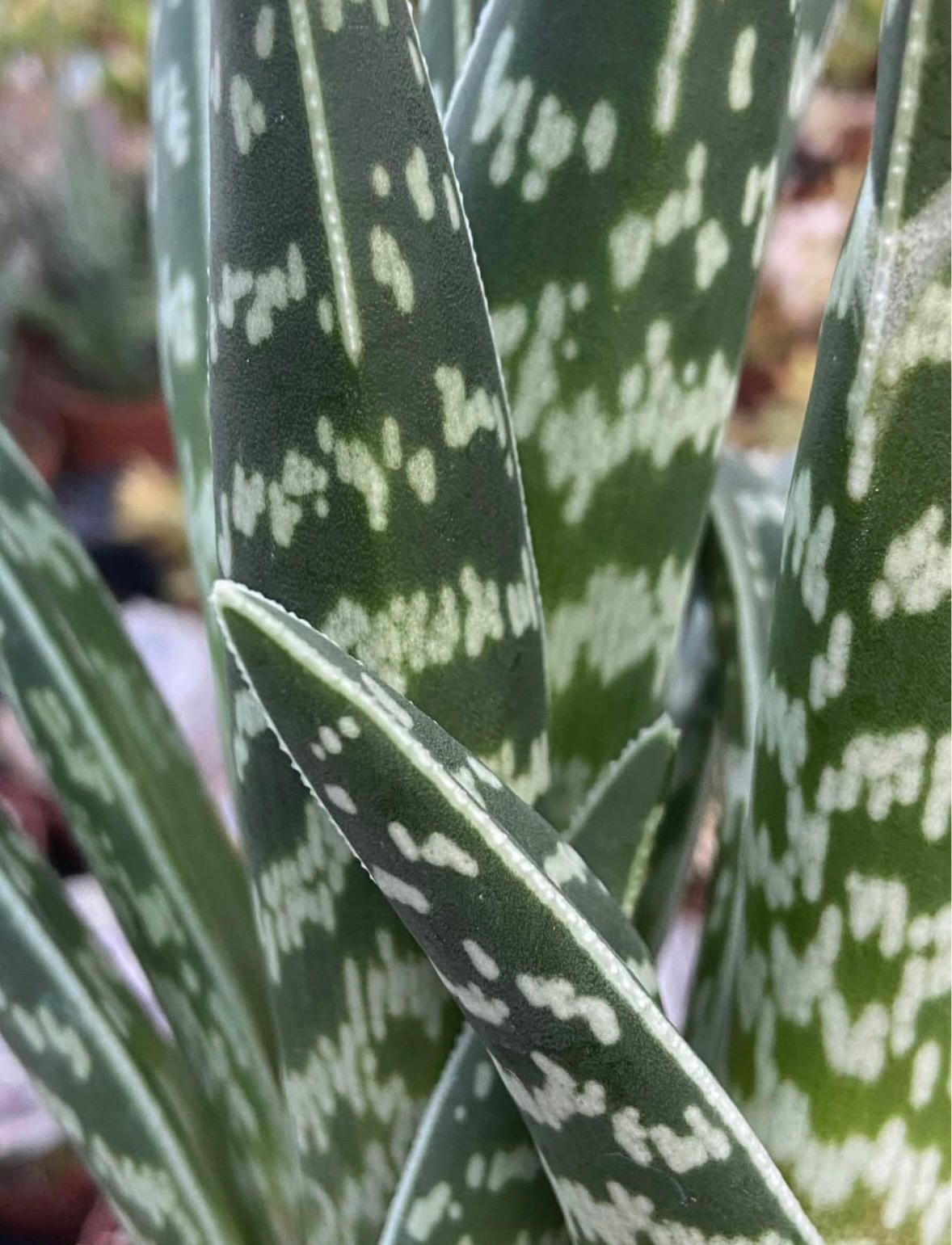 WhatsApp Image 2026-02-22 at 10.53.35