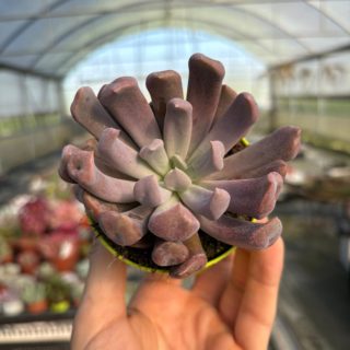 WhatsApp Image 2026-03-13 at 12.46.24 (1)