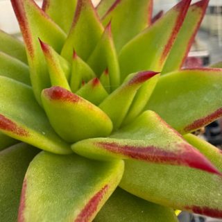 WhatsApp Image 2026-03-19 at 19.09.52