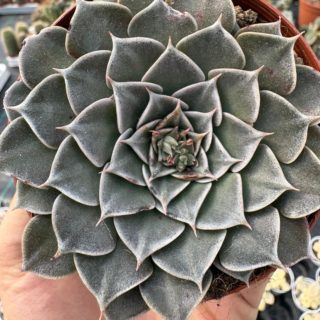 WhatsApp Image 2026-03-23 at 12.47.27